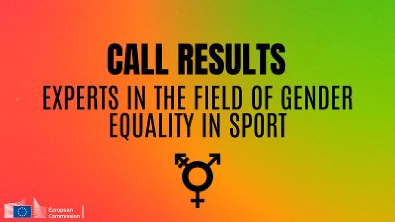 High Level Group On Gender Equality In Sport Sport