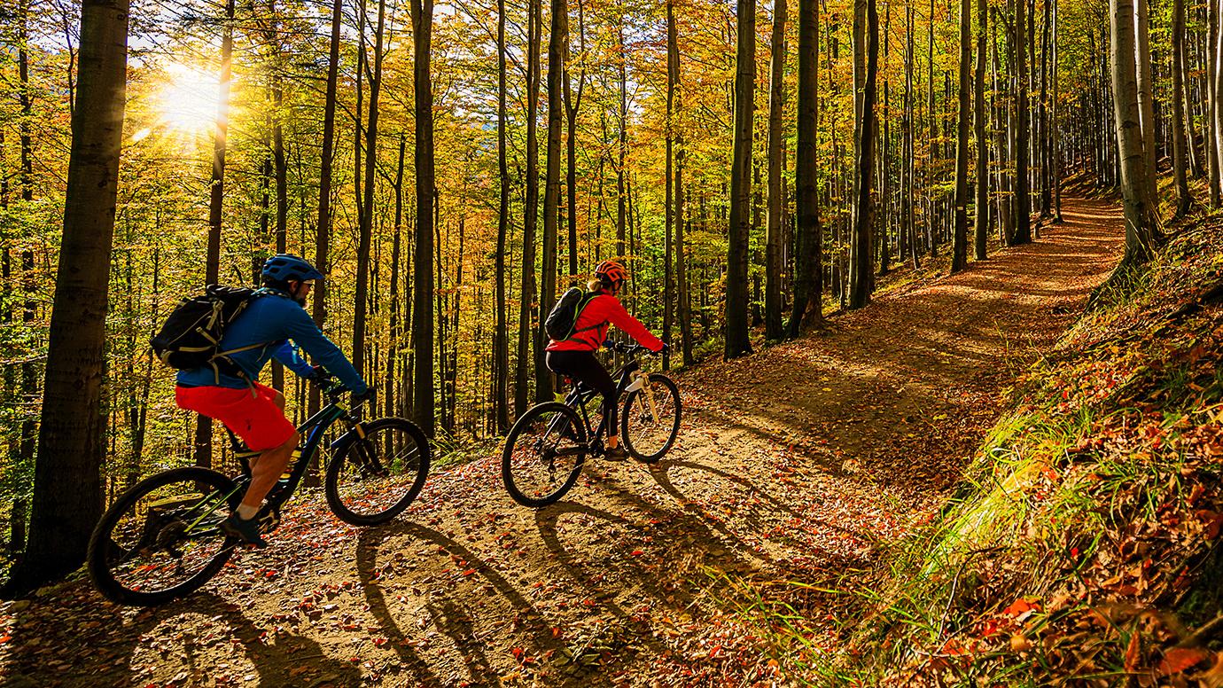 Cycling, mountain biker couple on cycle trail in autumn forest.