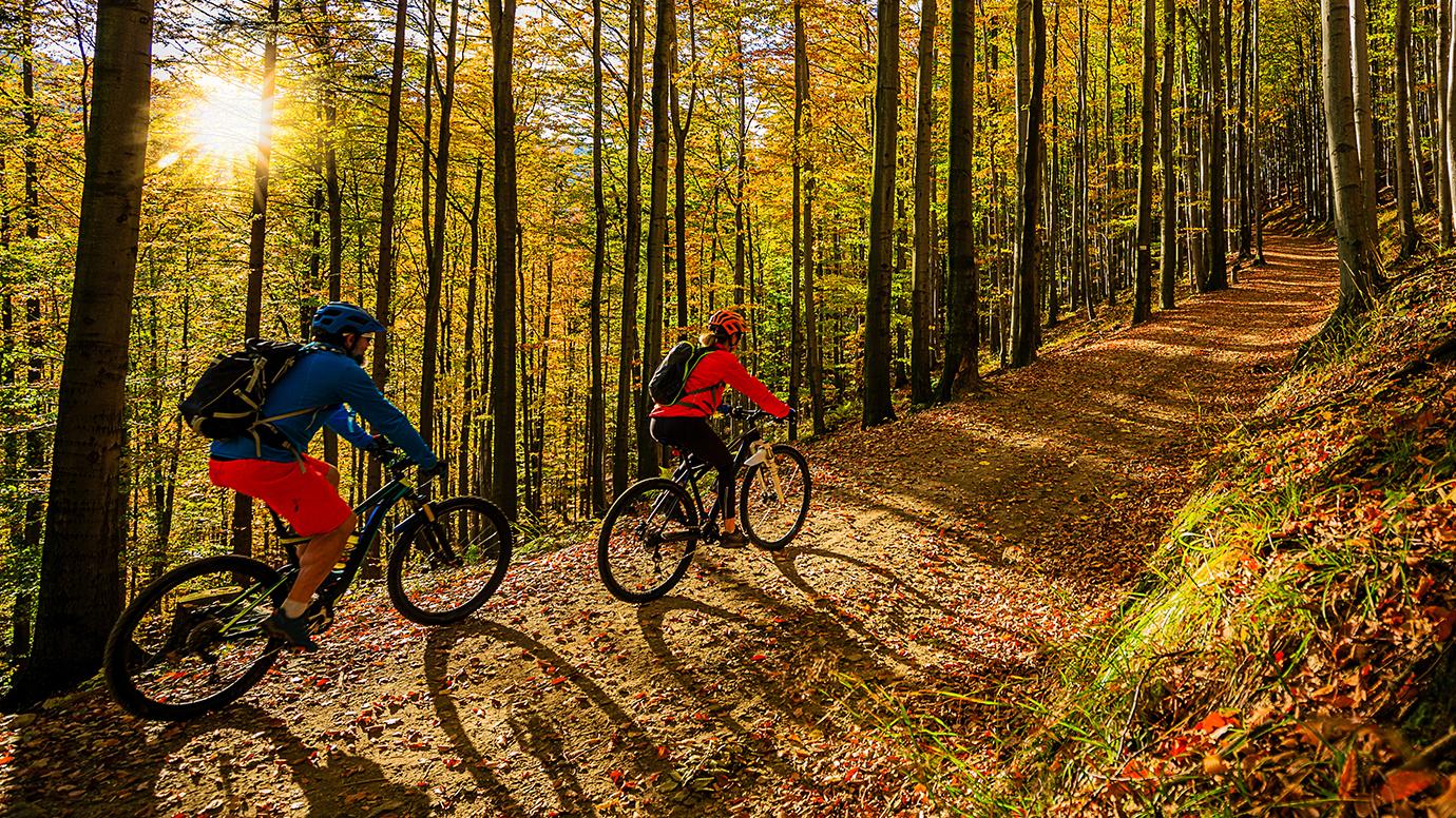 Cycling, mountain biker couple on cycle trail in autumn forest. 