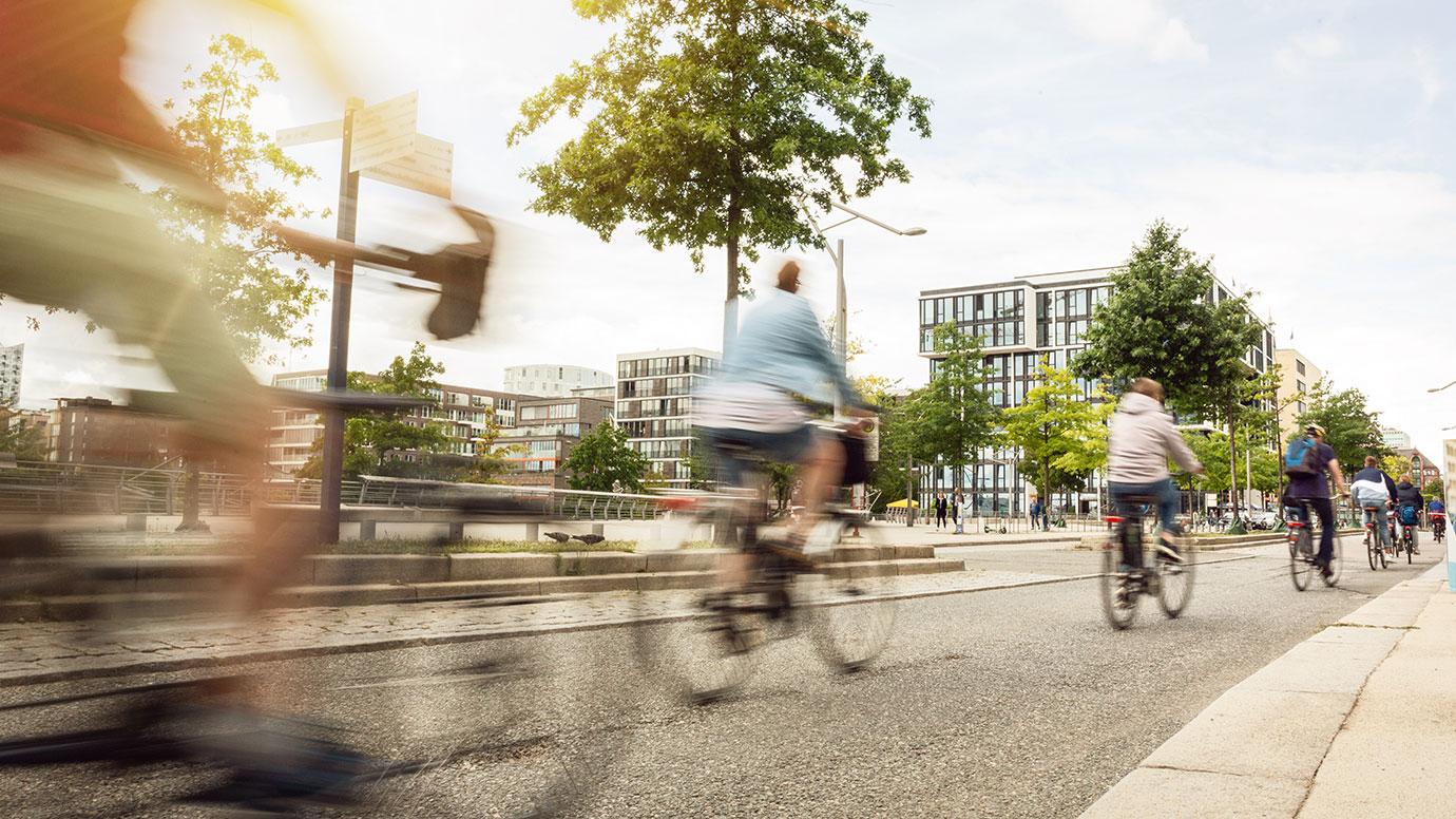 Cyclists in a city