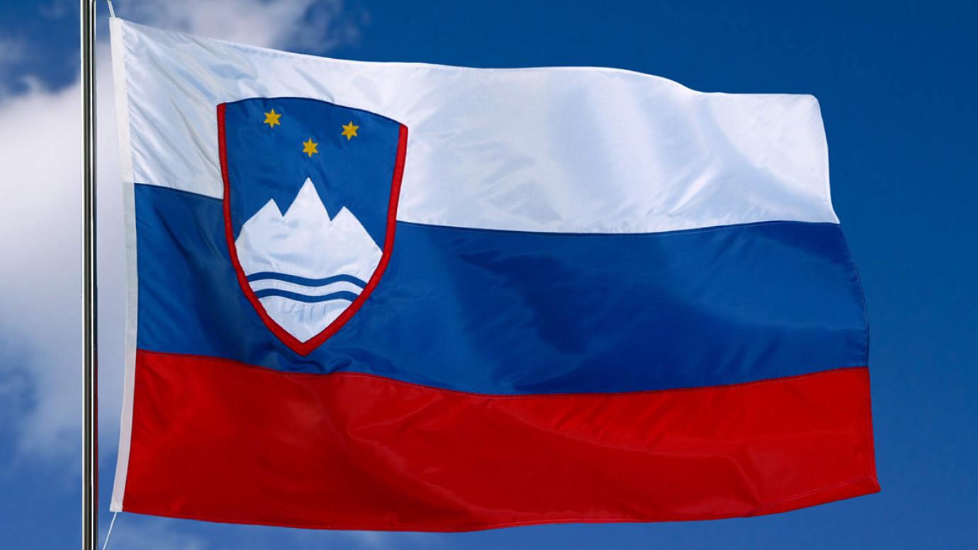 Slovenia flag